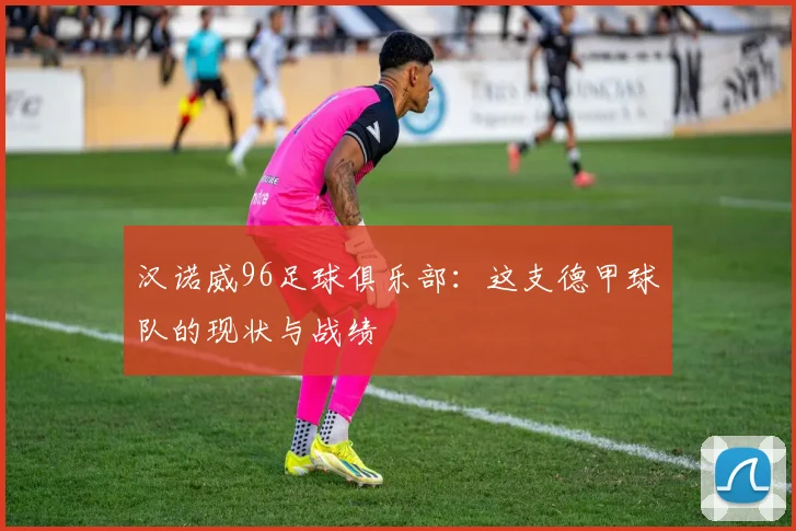 汉诺威96足球俱乐部：这支德甲球队的现状与战绩