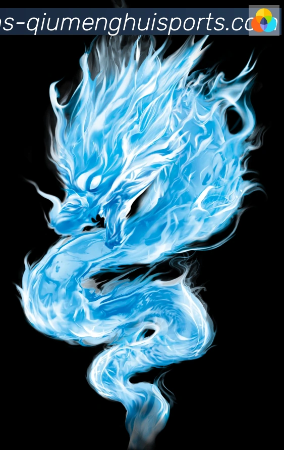 奖项证书